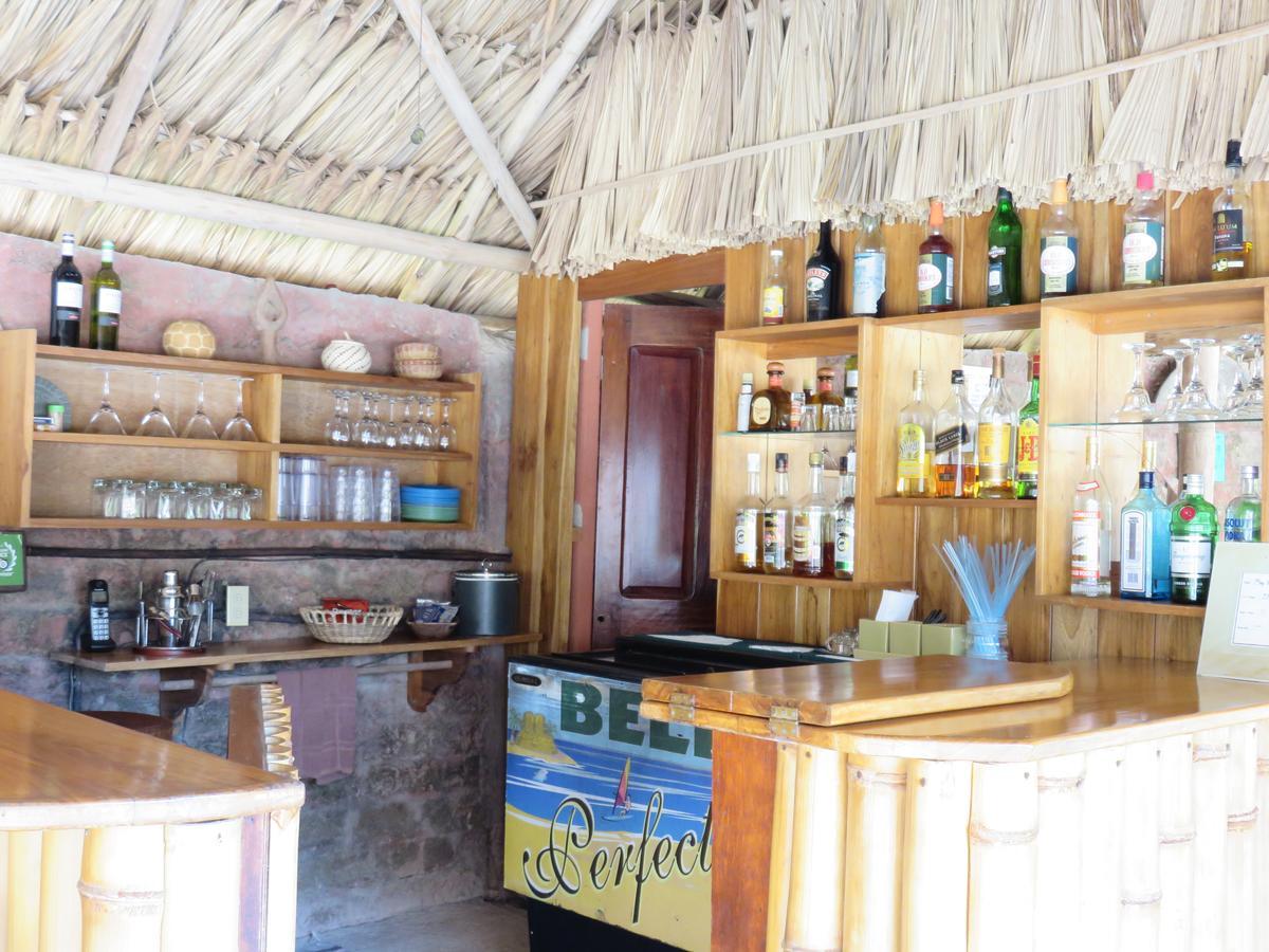 Coral House Bed & Breakfast Punta Gorda Bagian luar foto
