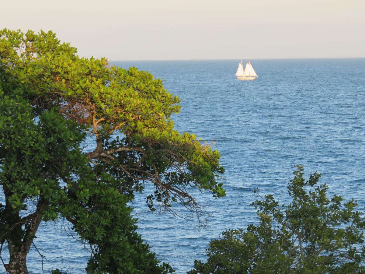 Coral House Bed & Breakfast Punta Gorda Bagian luar foto