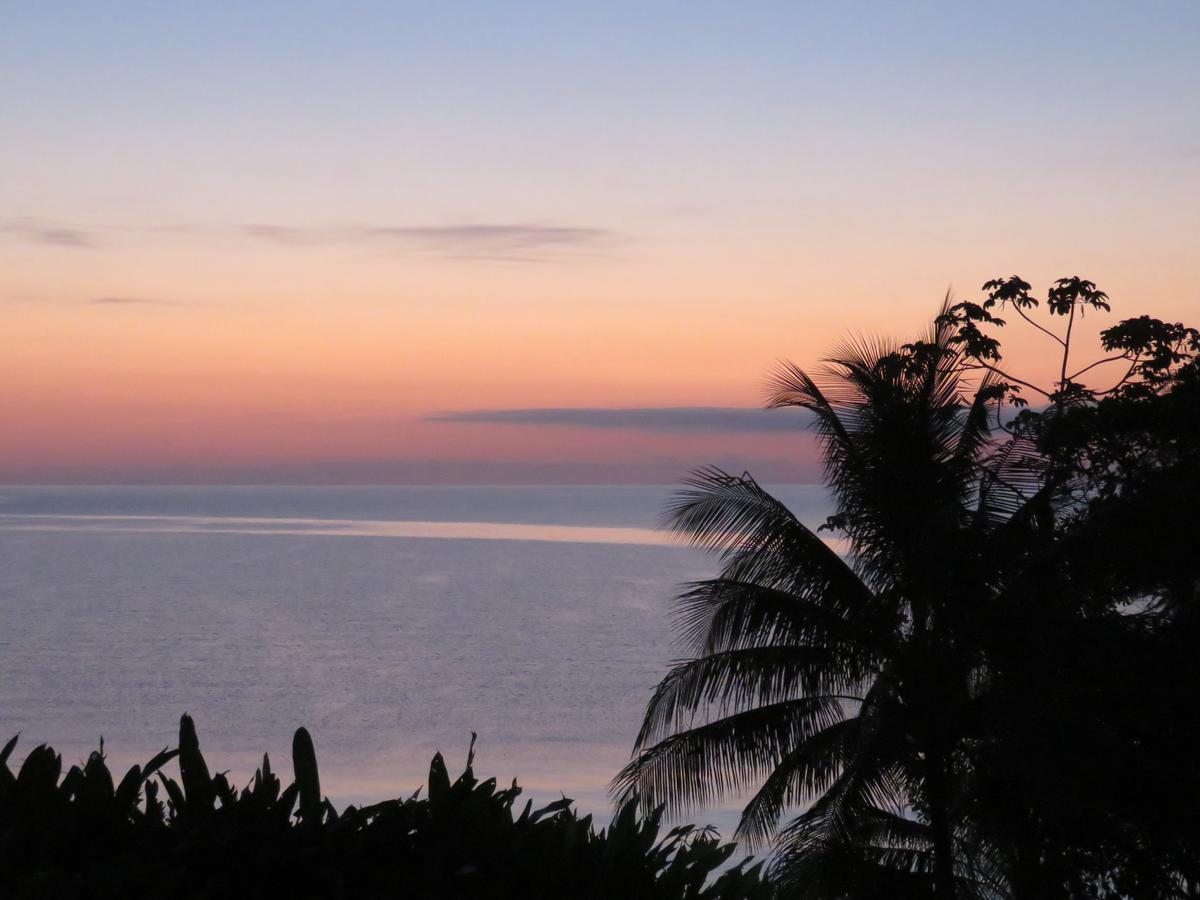 Coral House Bed & Breakfast Punta Gorda Bagian luar foto