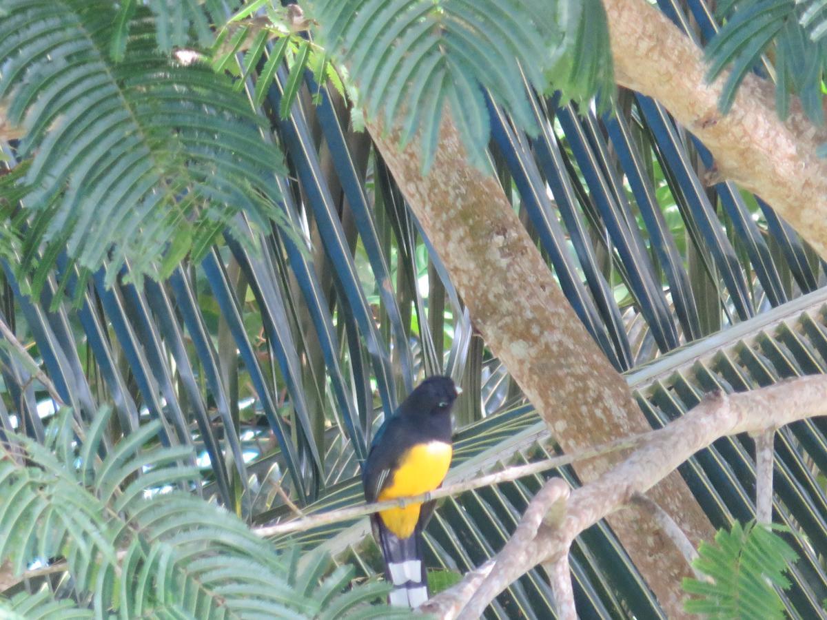 Coral House Bed & Breakfast Punta Gorda Bagian luar foto